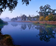 laguna