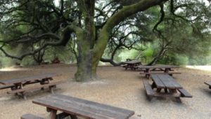 RagleRancPicnics