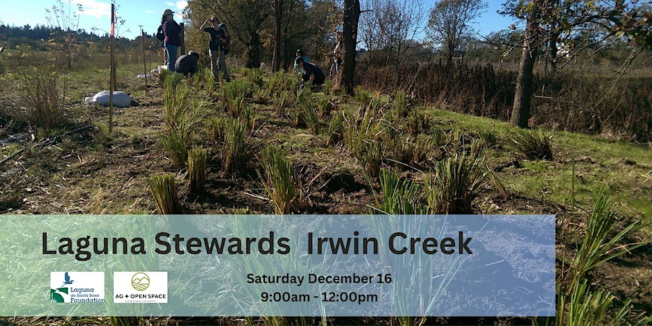 irwin creek