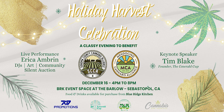 holiday harvest cannabis
