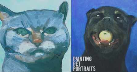 pet portraits