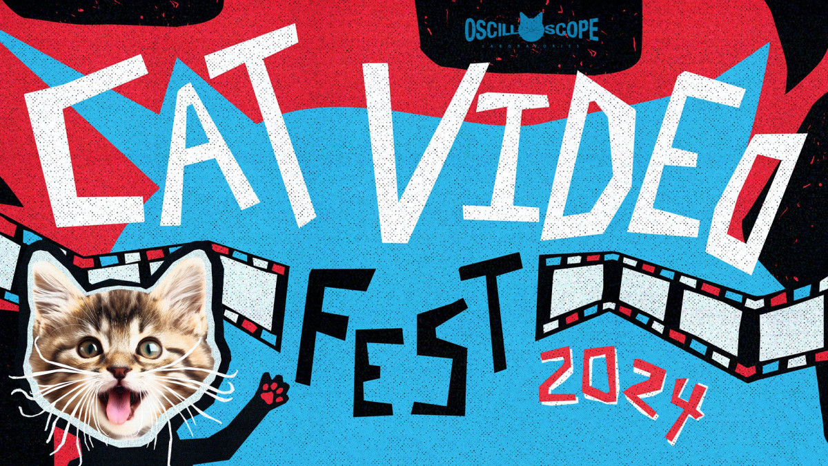 cat video fest 2024